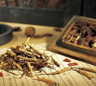 青少年牙周炎怎样食疗？